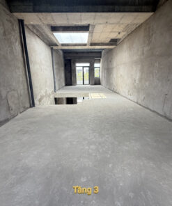 IMG 6705
