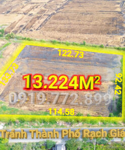 DJI 0333